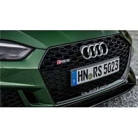 AUDİ A5 B9 RS5 (2016-) Ön Panjur --MAYUK Dizayn--